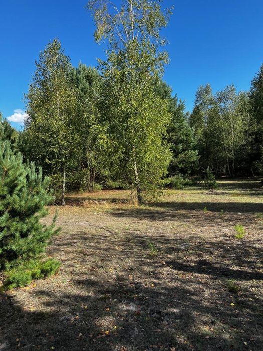 Продам земельну ділянку 2га біля Шацьких озер. Власник