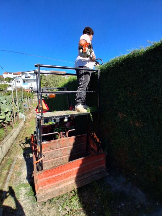 Serviços Agrícolas