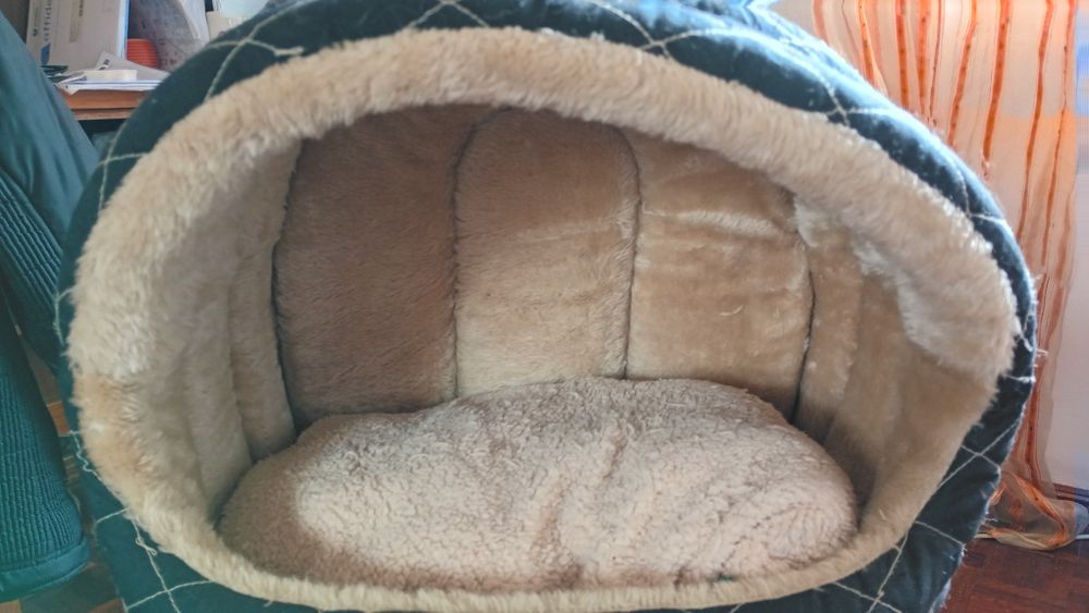 Casinha de gato em bom estado