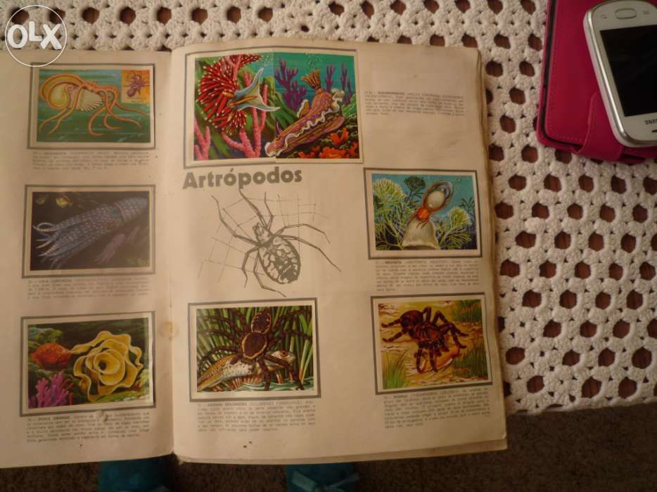 ÁLbum panorama zoológico