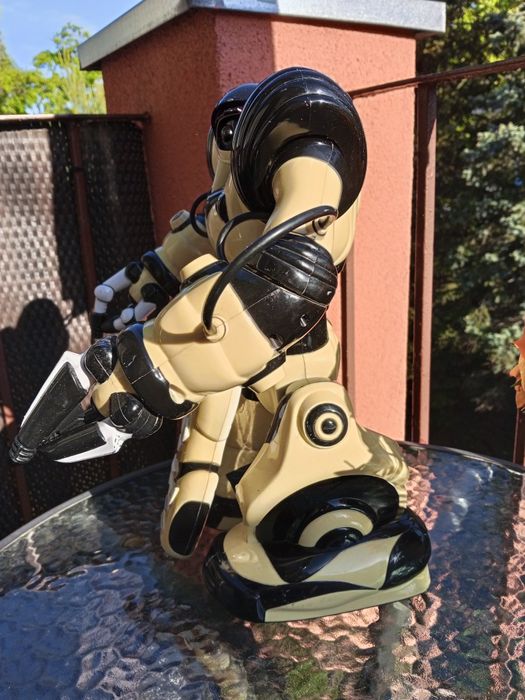 Robot interaktywny