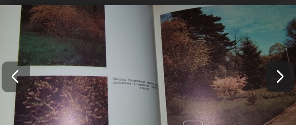 Редкая книга ссср