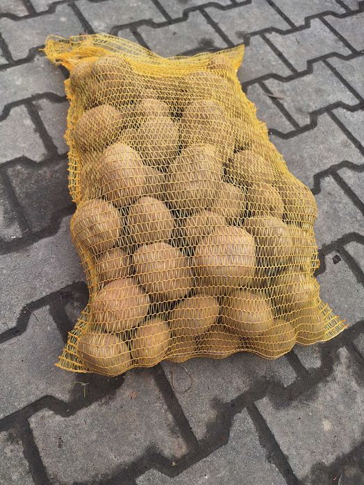 ziemniaki vineta 10kg transport