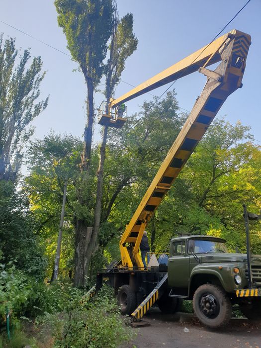 Спил дерев з автовишки | Санітарна обрізка, омолодження, кронування