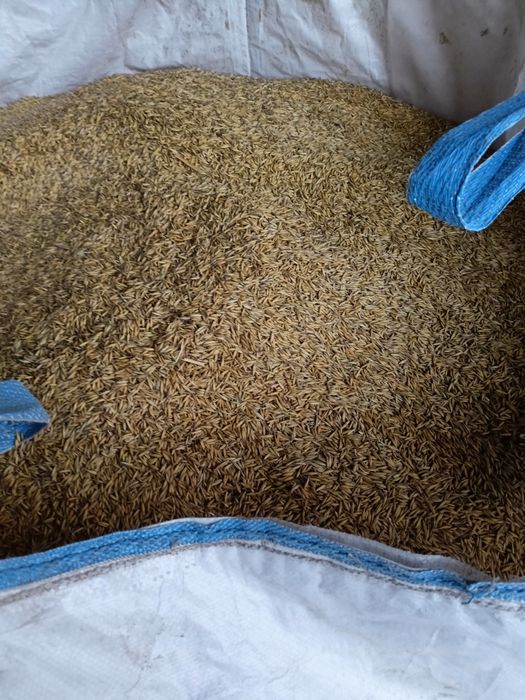 Pelet (owies)Zamiennik peletu owies