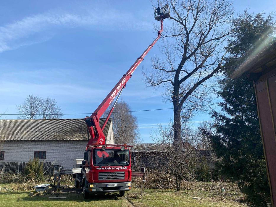 Podnośnik Koszowy,Zwyżka,Wycinka Drzew,Przycinka,Montaż Reklam,Podest