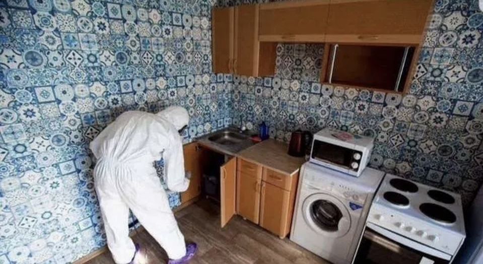 Уничтожим тараканов клопов клещей дезинсееция дератизация