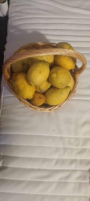 Limão biológico apenas 1€kg entrega