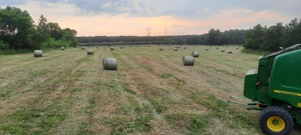 Siano w belach 120x120 / siano dla koni / siano wysokiej jakości / bel