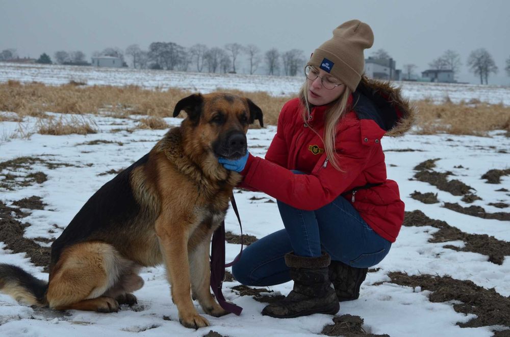Duży jak Hagrid, czuły jak aniołek – poznaj mnie