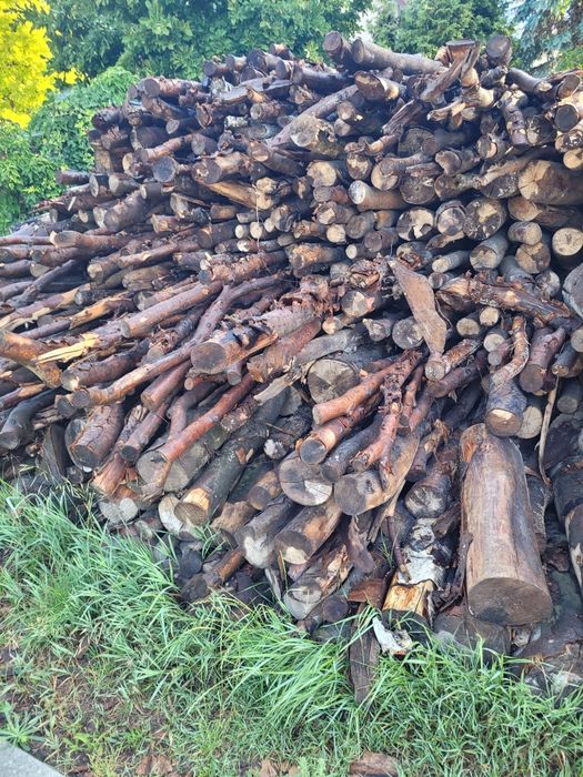 Drewno gałęziówka bukowa