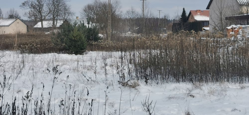 Wynajmę działkę 3000m2  Ręczaje Polskie