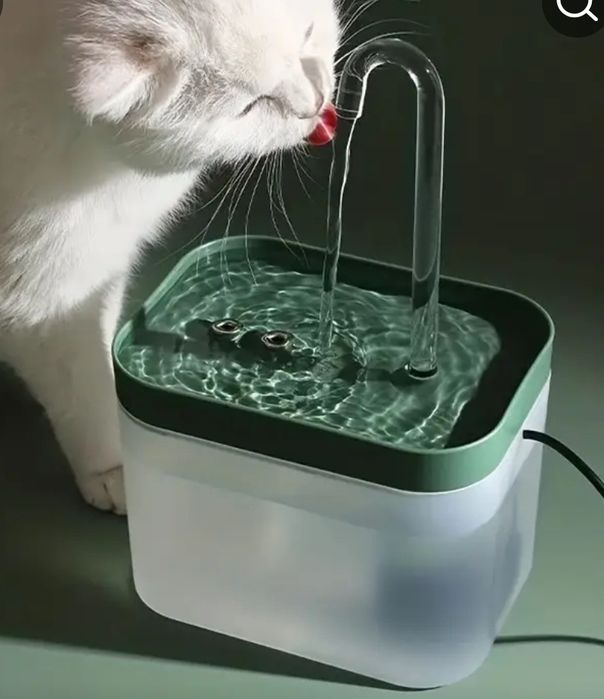 Fontanna wodna dla kota