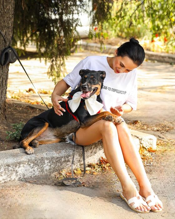 Разыскивается отвесвенная семья,для активной умной собачки