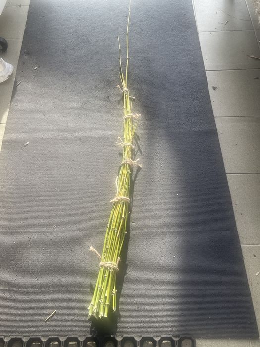 Canas de bambu varios tamanhos