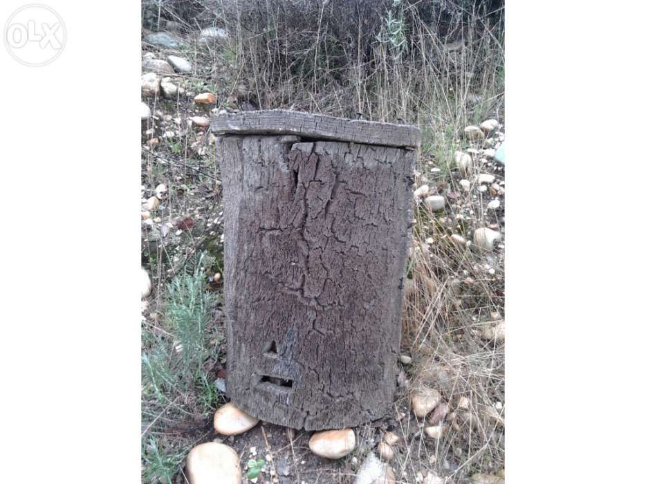 Mel de Abelha Natural