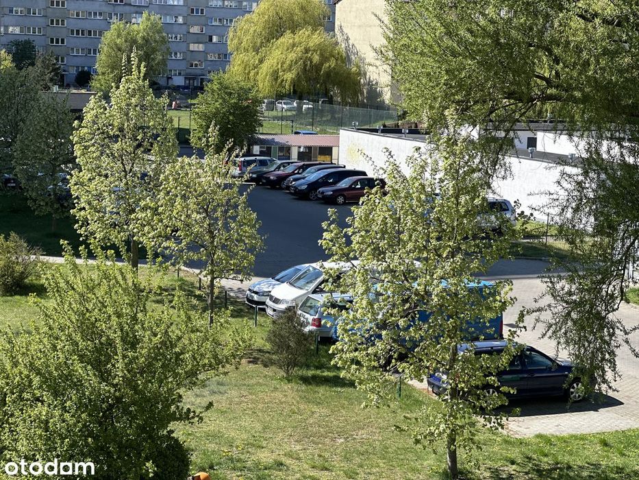Przestronne 3 pokoje z dużym potencjałem, świetna lokalizacja! - Widok 2