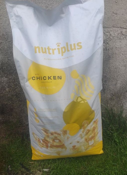 Nutriplus Adult Dog Z Kurczakiem 15kg, karma dla psa premium