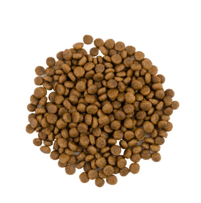 Сухий корм для дорослих вибагливих котів Savory 2 кг (індичка та качка