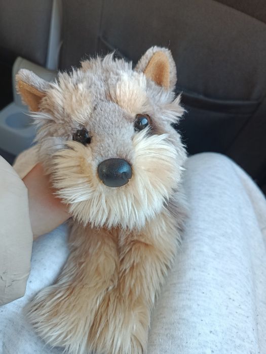 Обмін,не продаж,Douglas cuddle toys 2019 року йорк