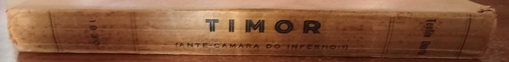 Timor (Ante-Câmara do Inferno!?) por Teofilo Duarte (1930)