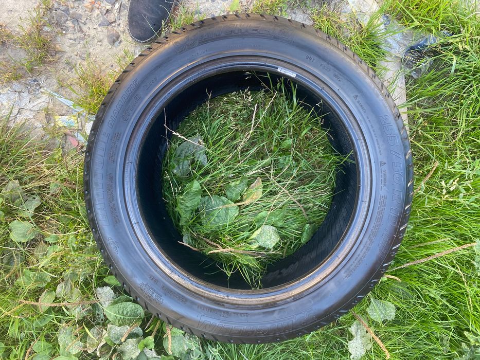 255/50/19 мішелін