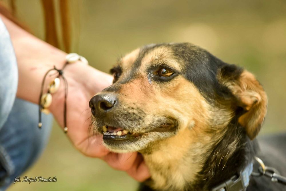 Bunia szuka kochającego domu!