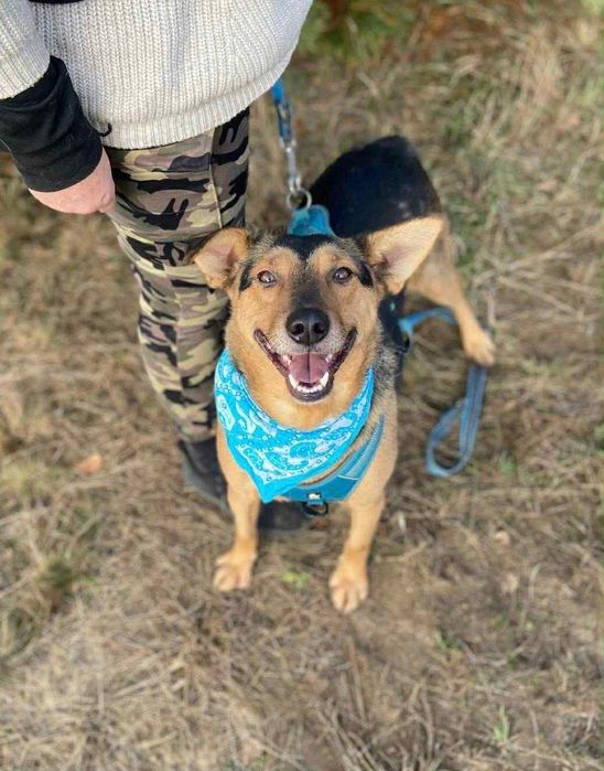 Pan Wisienka marzy o rodzinie.