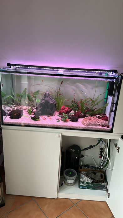 Aquario de 300 litros completo