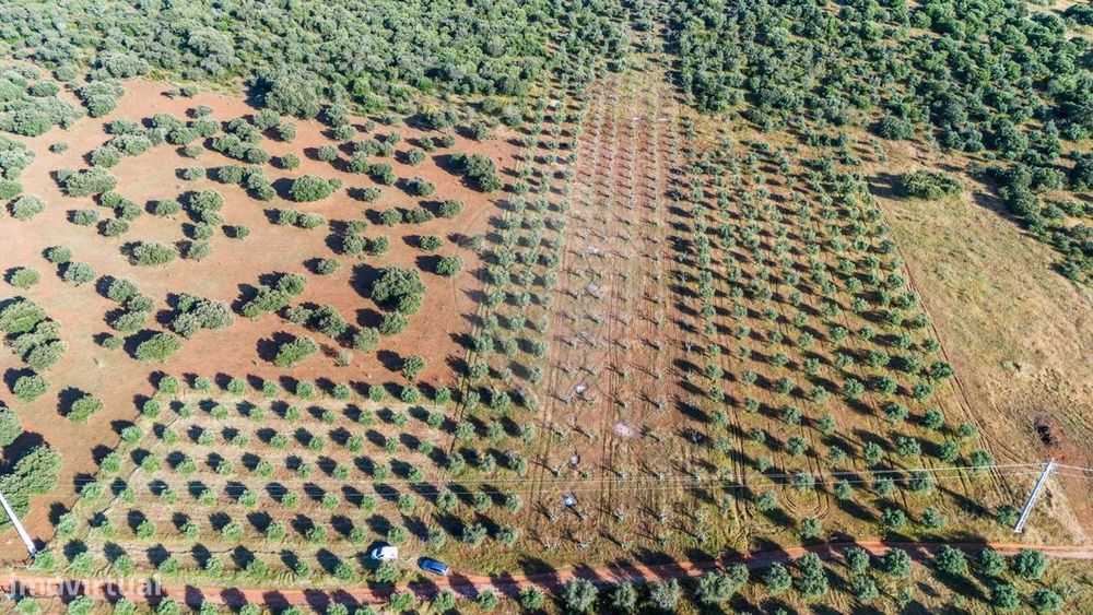 Terreno  para venda