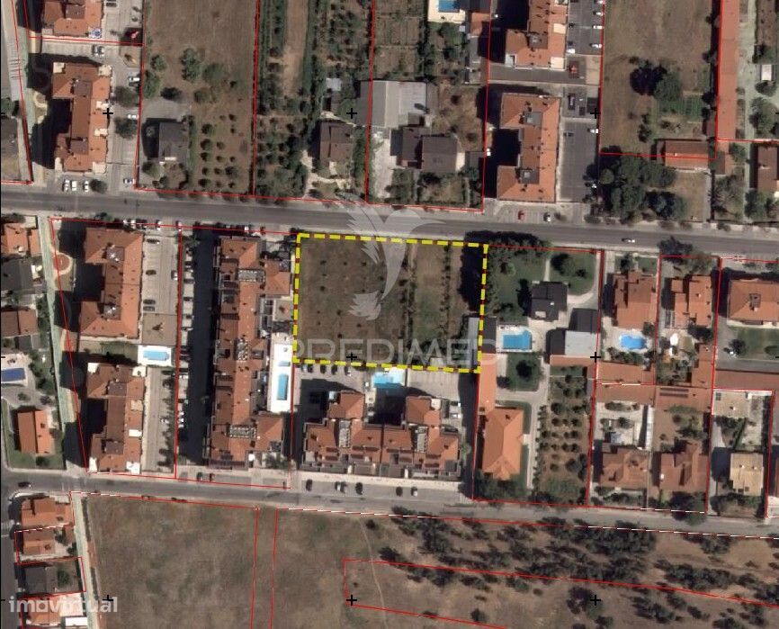 Terreno Misto, Nossa Senhora de Fátima, Entroncamento