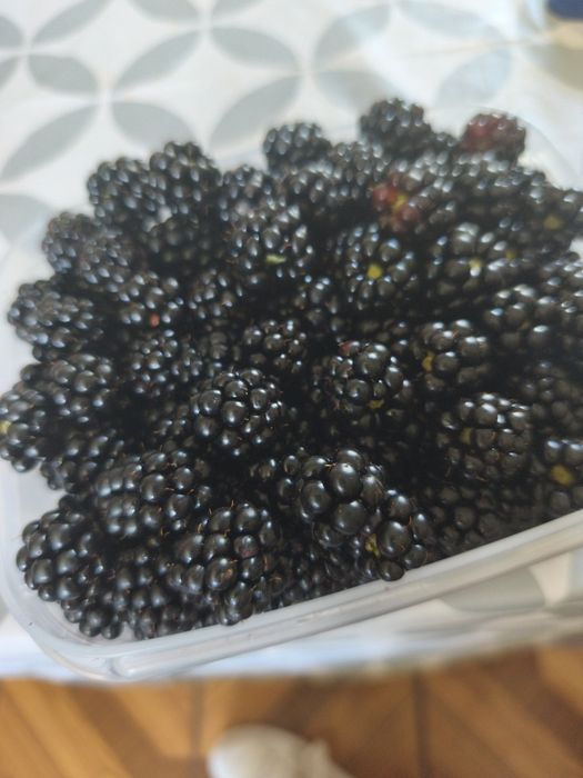 Amoras caseiras sem químicos 7€KG