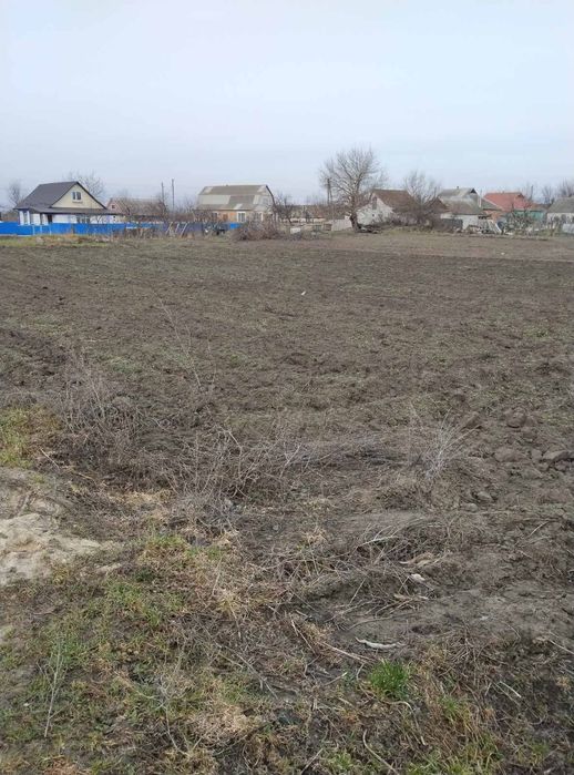 Продам земельну ділянку в селі Ольшаниця. - Вид 3