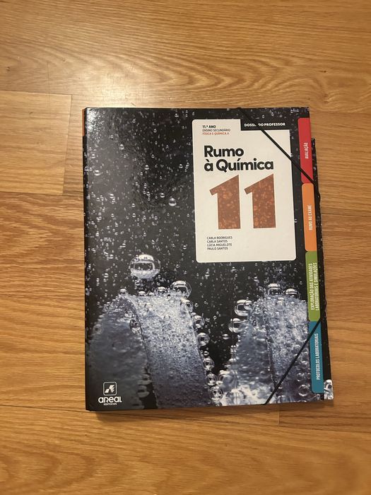 Manual e caderno de atividade do professor: Rumo à Química 11°ano