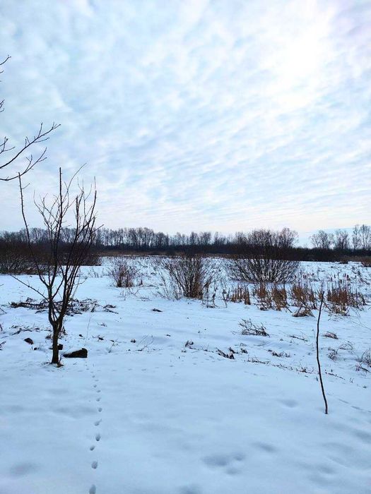Продаж земельної ділянки м. Городок (25км від м. Львова)