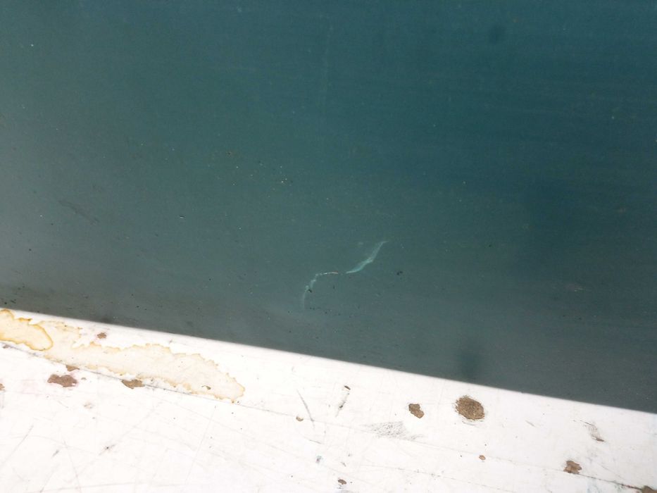 Renault Scenic RX4 Drzwi Prawy Przód Prawe Przednie Lakier NV903