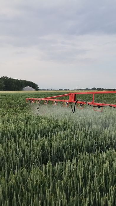 Sprzedam pszenicę rok po centrali