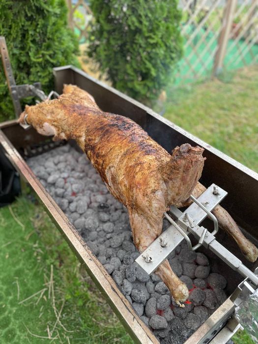 Prosiak  /Baran z  Roźna