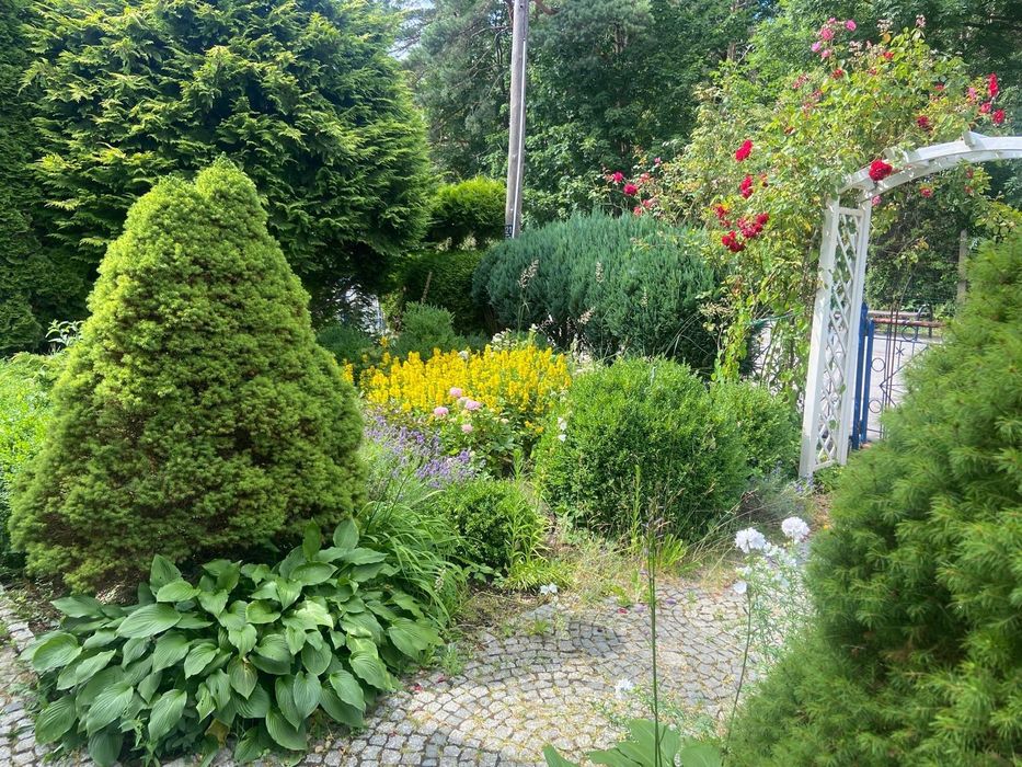 Pokoje nad morzem apartament noclegi  Chłopy   wakacje wczasy