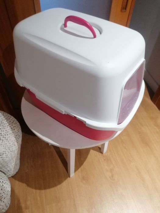 Casa de banho para gato