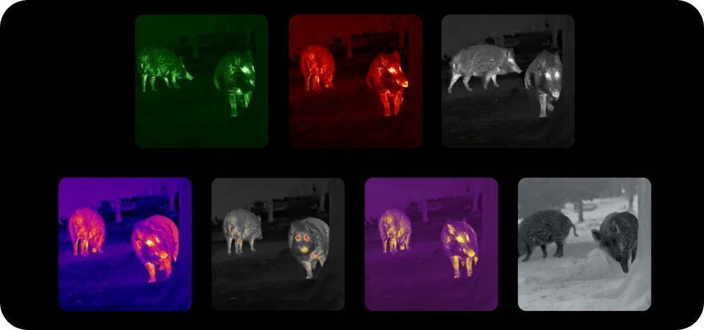 Kamera Termowizyjna Termowizor Monokular Termowizyjny Nocpix Lumi L19