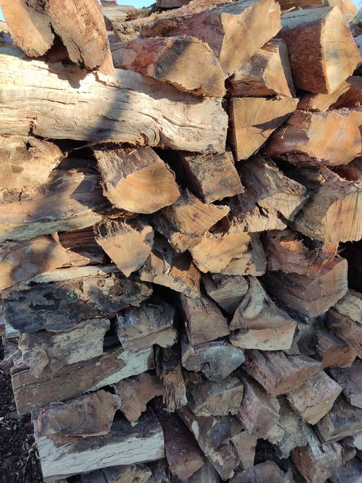 Lenha de sobro seca