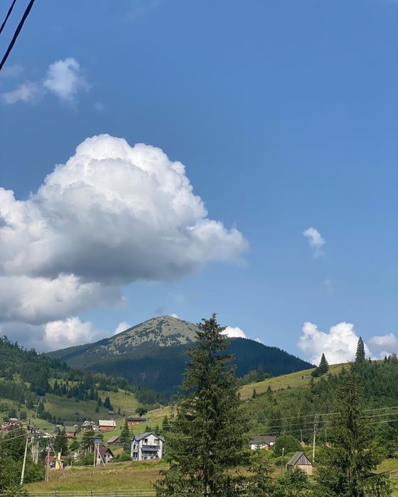 Чан|Сауна|Еко|Буковель|Поляниця