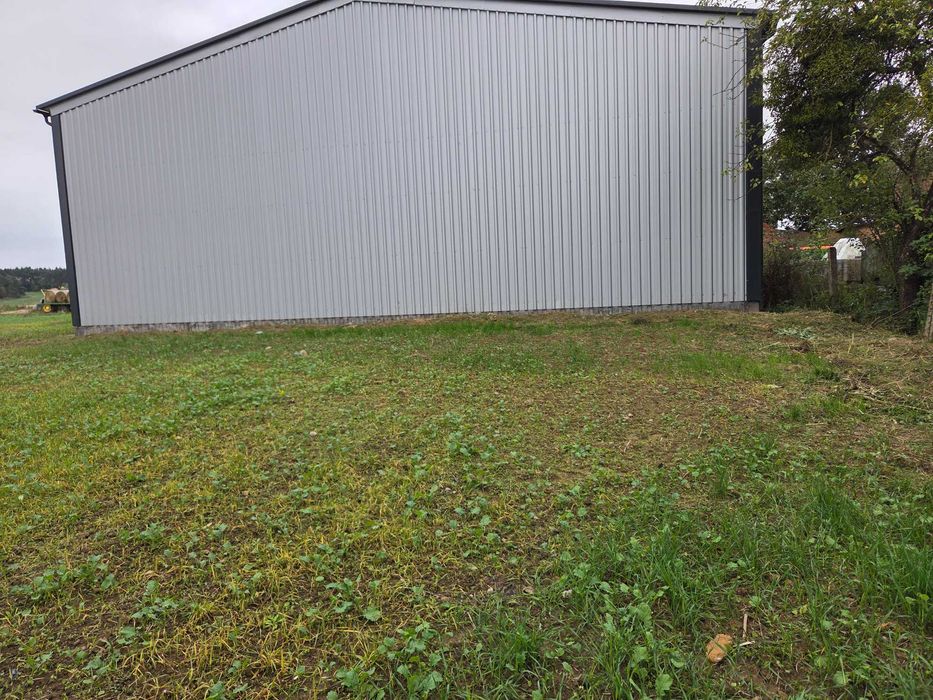 Usługa wykaszania zaniedbanych terenów zielonych