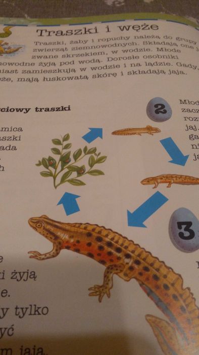 Przyroda Polski i  przygoda z przyrodą 2 książki
