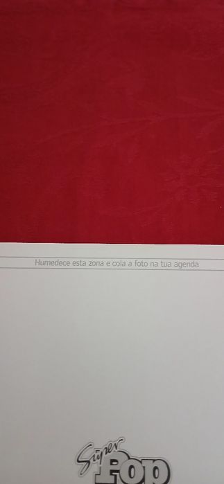 Postal/fotografia Afonso Pimentel