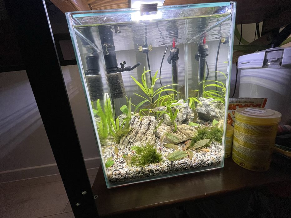 Akwarium kostka 30l