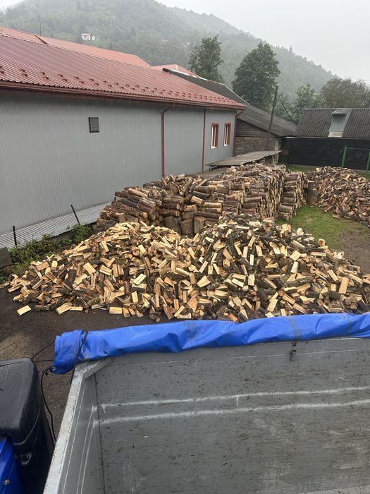 Продам КОЛОТІ ДРОВА СУХІ бук, граб, дуб