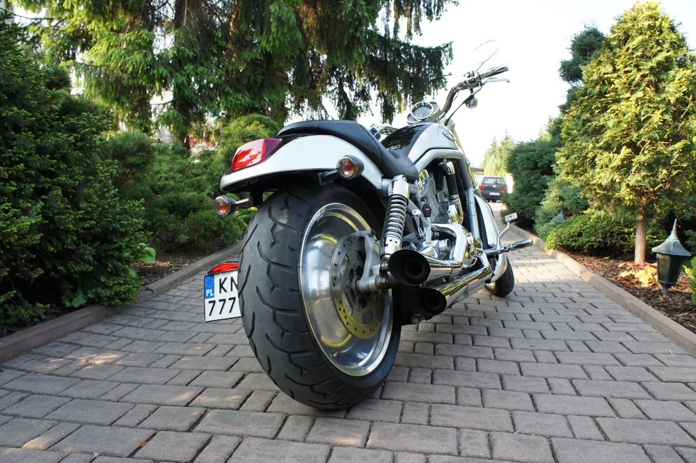 Harley-Davidson V-Rod Street Rod Harley V Rod 2003 - edycja na 100 lecie HD / wlascicie PL od 2010 roku
