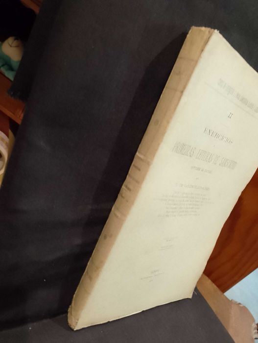 Exercícios e primeiras Leituras de Sânscrito 1898